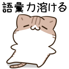 moving unmotivated calico cat day4