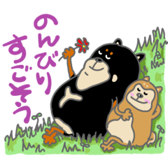 Nakatani.k_20260222083649