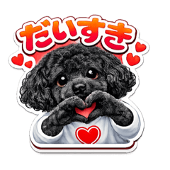 pafoKEN5_20260222091933