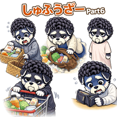 Shufuzer Part6 | Shopping Struggles