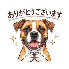 Boxer: Cute & Daily Stickers
