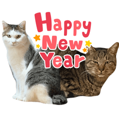 Arito Miura_20260220203943