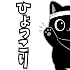 忍者虎斑貓的萌萌肢體動作 2