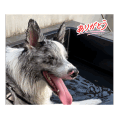 ASUKA_20260222082325