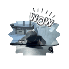 TAKESI_20260223133206