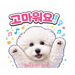 baba3_20260219202458