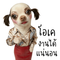 Hong Hong Office Style 6 (BGZ)