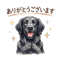 Flat-Coated Retriever: Daily Stickers