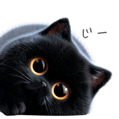 Adult-Cute Simple Black Cat