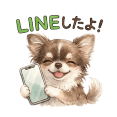 mi-mi2525_20260222141056