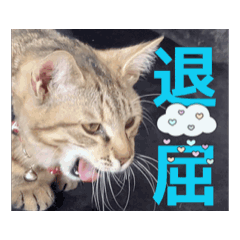 Ren-ren_20260222150002