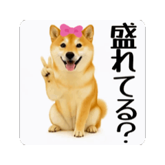 Risa_20260222160215