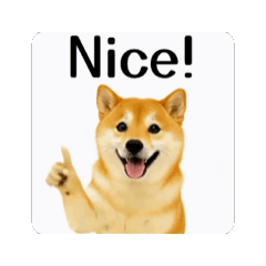 Cute Shiba Daily Mood Stickers