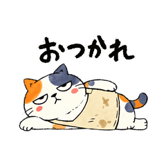 Daily Life of a Calico Housewife Cat