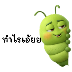 AUMazing_20260222210623