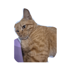 Finalgirl_20260222211440