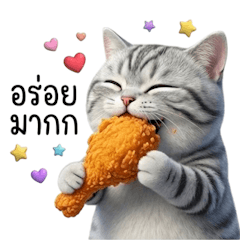 Meow Meow Office Style 5