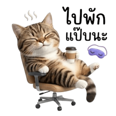 ออฟฟิศสไตล์เหมียวเหมียว 1