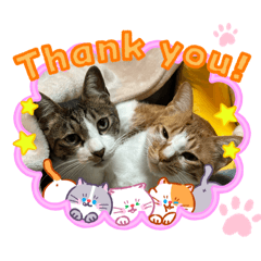 namatamago_20260222220957