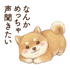Shiba Inu (Jealous)(sweet)