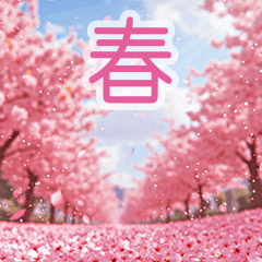 背景が動く✨桜舞い散る---春の景色---