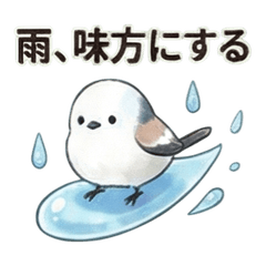 雨の日がんばる！シマエナガスタンプ