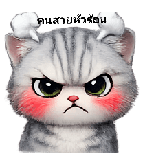 noom nooy_20260223001003