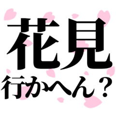 Spring Kansai Dialect: Daily Sakura