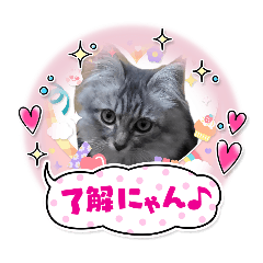 soramaru_20260222142246