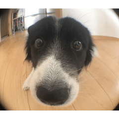 Udon chan_20260222203127