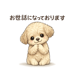 SONASONA_20260222205116