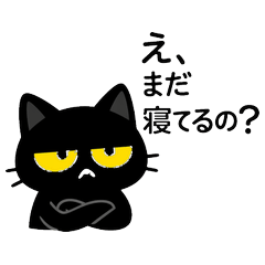 Sarcastic but Kind Black Cat