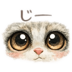 Gentle Night Confessions Galago