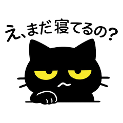 Sarcastic but Cute Black Cat