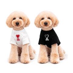 pafoKEN5_20260222214553