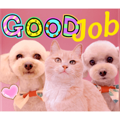 Mochioba_20260223151013