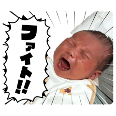 K_20260223001326
