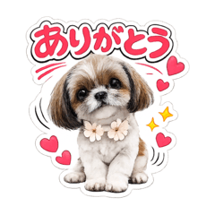 pafoKEN5_20260223092549