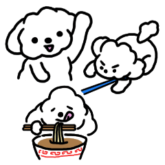poodle honest dairy life