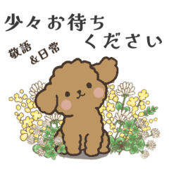 Hand Drawn Toy Poodle Dark Apricot