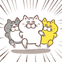 Cat of a bad face 20