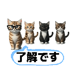 takayo_20260223111218