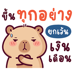 บงบง คาปิบาร่าเจ้าแสบ12