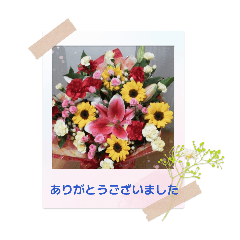 Chie_20260220095627
