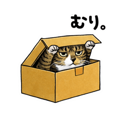 chika-kona_20260222155209