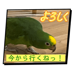 Yuzuki_20260223003243