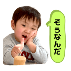 juju_20260223004051