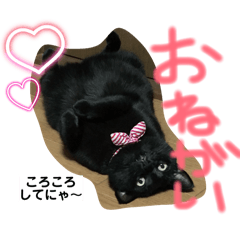 Chocola_20260222161802