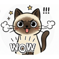 goodluckandhappiness_20260222165144