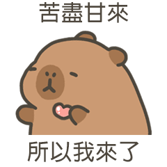 卡比巴拉水豚苦盡甘來